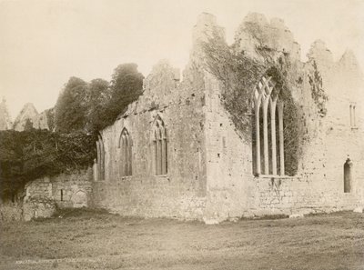 Askeaton Abbey (Sepia-Foto) von Robert French